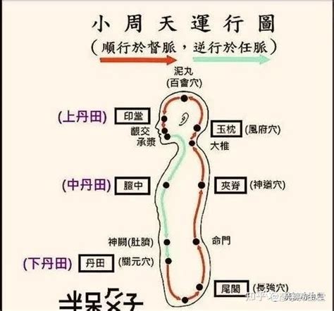 大周天口訣|什麼是大周天、小周天？功效如何修煉？一文告訴你。建議收藏